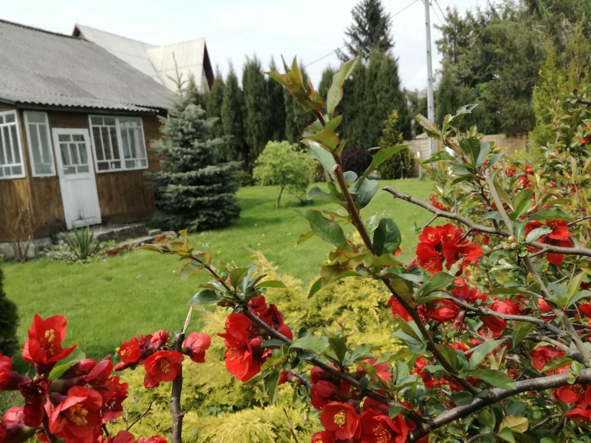 Villa Siedlisko Józefka Zarobka Exterior foto
